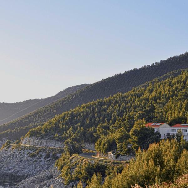 Villa Victor Babino Polje Esterno foto