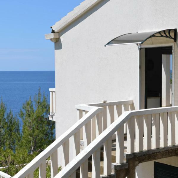 Villa Victor Babino Polje Esterno foto